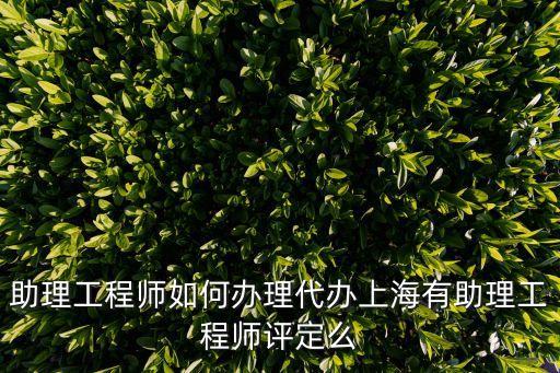 助理工程師如何辦理代辦上海有助理工程師評定么