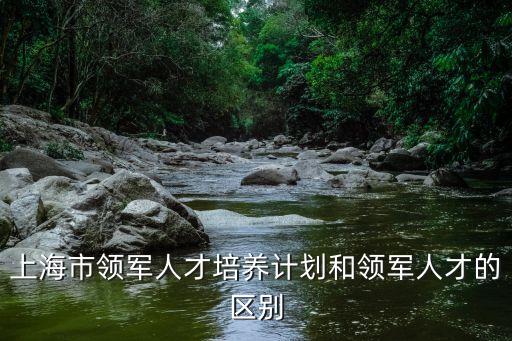 上海市領軍人才2007，2015上海市領軍人才名單