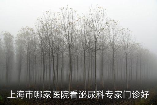 上海市泌尿科女醫生介紹，上海治療女性尿道炎哪家醫院好