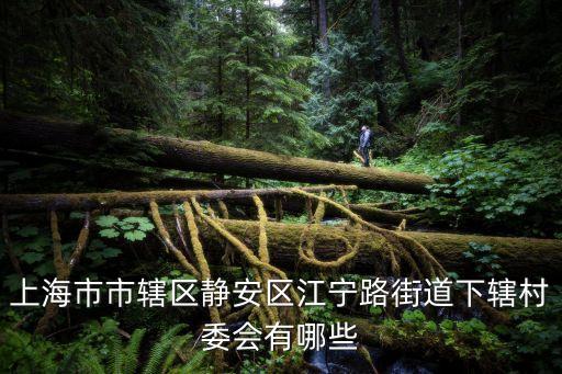 上海市市轄區(qū)靜安區(qū)江寧路街道下轄村委會有哪些