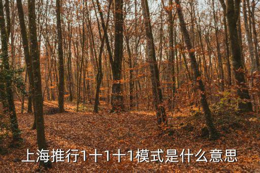 上海推行1十1十1模式是什么意思