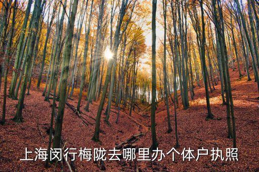 上海閔行梅隴去哪里辦個體戶執照