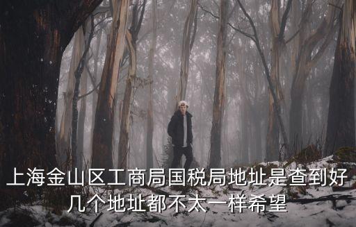 上海金山區工商局國稅局地址是查到好幾個地址都不太一樣希望