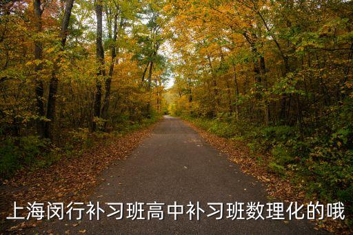 上海閔行補習(xí)班高中補習(xí)班數(shù)理化的哦