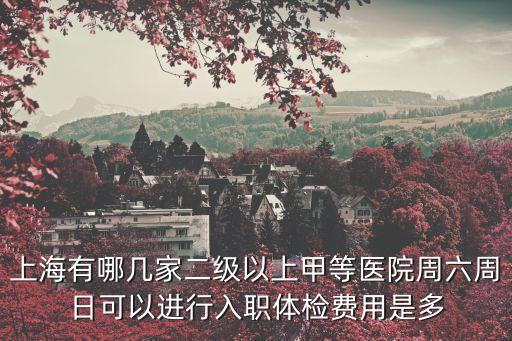 上海有哪幾家二級以上甲等醫院周六周日可以進行入職體檢費用是多