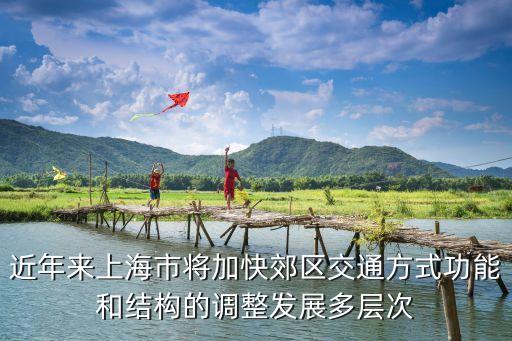 上海市公共交通發展報告，上海軌道交通到2020年的規劃