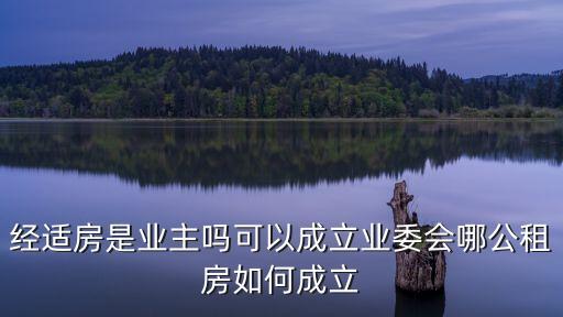 上海市經(jīng)適房業(yè)委會(huì)，上海經(jīng)適房向什么部門(mén)申請(qǐng)