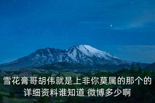 上海市胡偉，雪花膏哥胡偉就是上非你莫屬的那個(gè)的詳細(xì)資料誰(shuí)知道 微博多少啊