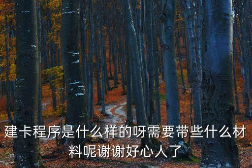 建卡程序是什么樣的呀需要帶些什么材料呢謝謝好心人了
