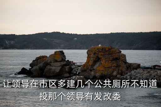 讓領導在市區多建幾個公共廁所不知道投那個領導有發改委