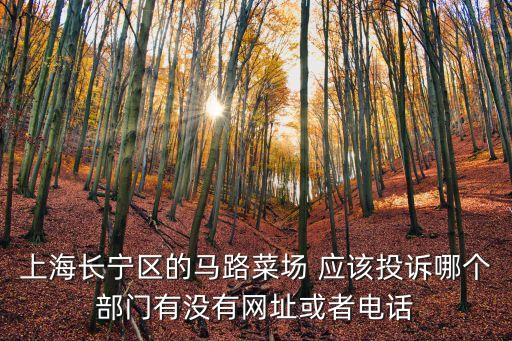 上海長寧區的馬路菜場 應該投訴哪個部門有沒有網址或者電話