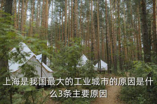 上海市工業用地占比，上海是我國的最大的綜合性工業城市