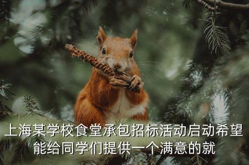 上海市奉賢區食堂承包，上海某學校食堂承包招標活動啟動希望能給同學們提供一個滿意的就