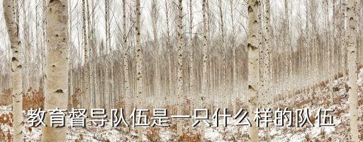 教育督導(dǎo)隊(duì)伍是一只什么樣的隊(duì)伍