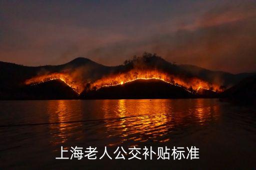上海市公共交通財政補貼，上海公務員交通補貼能用于哪些方面