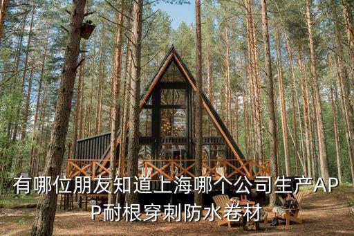 有哪位朋友知道上海哪個公司生產APP耐根穿刺防水卷材