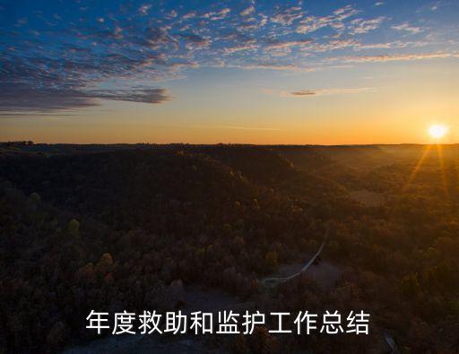 年度救助和監(jiān)護工作總結(jié)