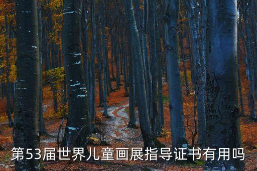 第53屆世界兒童畫展指導證書有用嗎