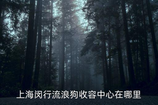 上海市收容所電話，上海閔行流浪狗收容中心在哪里