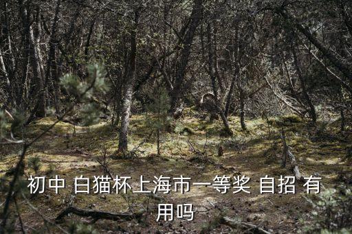 上海市級評優一等獎，初中 白貓杯上海市一等獎 自招 有用嗎