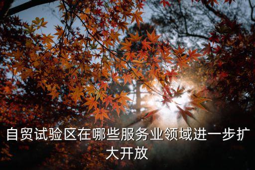 上海市服務貿易創新試點，上海新金融中心是哪