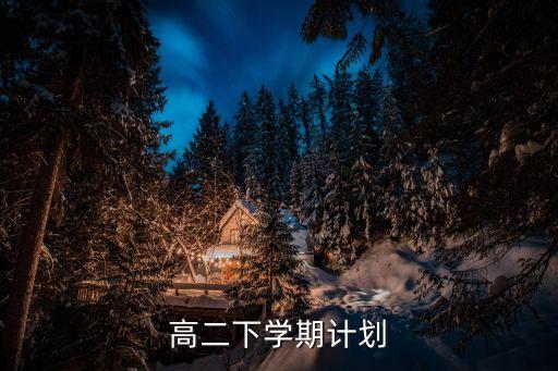 高二下學期計劃