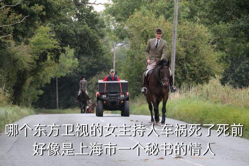 哪個東方衛視的女主持人車禍死了死前好像是上海市一個秘書的情人