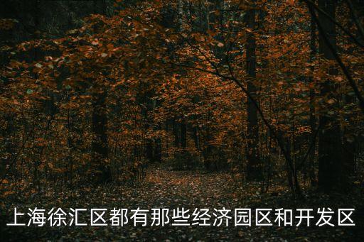 上海徐匯區都有那些經濟園區和開發區