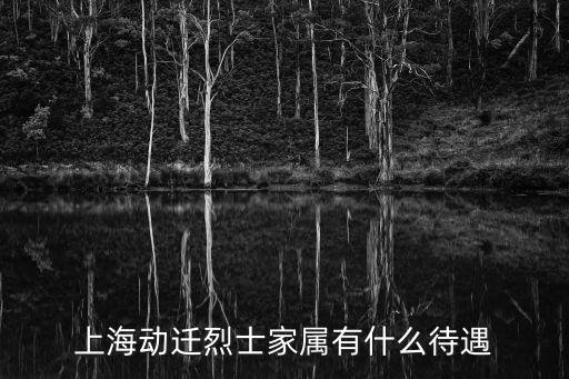 上海動遷烈士家屬有什么待遇