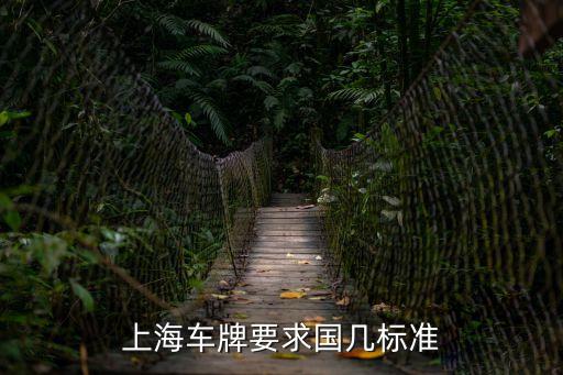 上海市進口車排放升級，上海國三的車子能升國四嗎我車的發動機有國四的