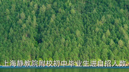 上海靜教院附校初中畢業(yè)生進自招人數