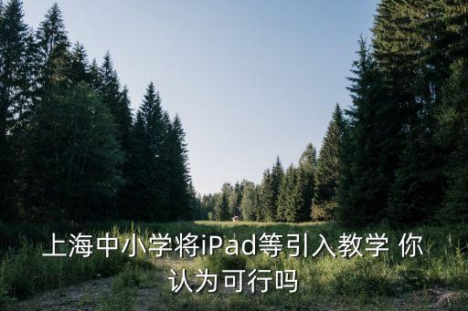 上海中小學(xué)將iPad等引入教學(xué) 你認(rèn)為可行嗎