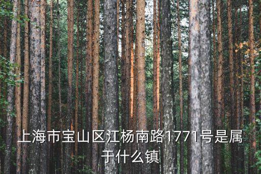 上海市江楊南路1710號屬于那個區，上海市寶山區江楊南路1771號是屬于什么鎮
