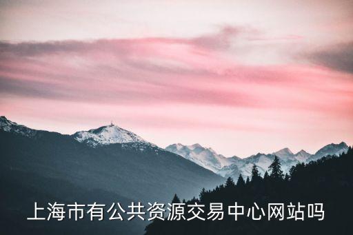 上海市公用資源投標，上海市有公共資源交易中心網站嗎