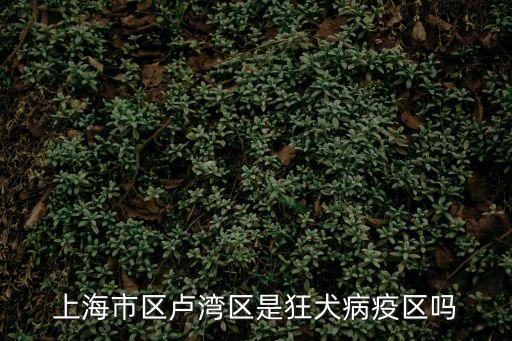 上海市狂犬病疫區嗎，上海那些地方可以打狂犬疫苗提供一下