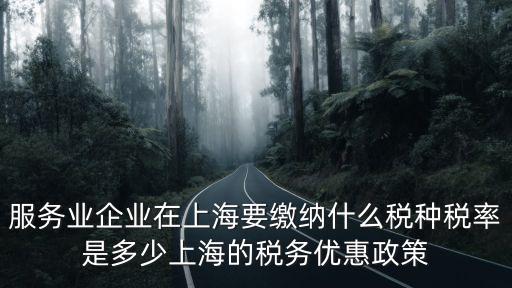 上海市服務(wù)業(yè)引導(dǎo)資金分配，服務(wù)業(yè)企業(yè)在上海要繳納什么稅種稅率是多少上海的稅務(wù)優(yōu)惠政策