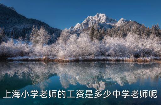 上海小學老師的工資是多少中學老師呢