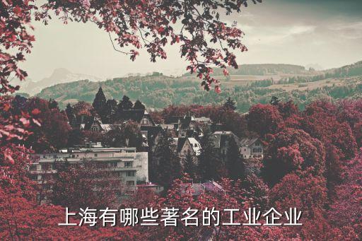上海有哪些著名的工業企業