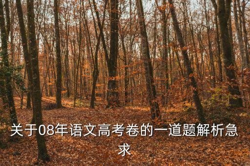 關于08年語文高考卷的一道題解析急求