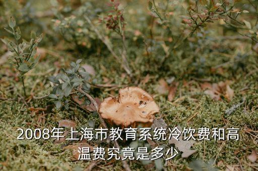 上海市的教育投入，2008年上海市教育系統冷飲費和高溫費究竟是多少
