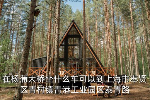 在楊蒲大橋坐什么車可以到上海市奉賢區青村鎮青港工業園區泰青路