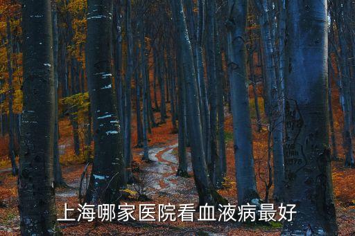 上海哪家醫院看血液病最好