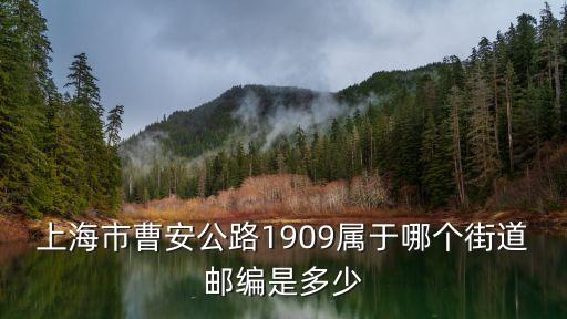 上海市嘉定區真新街道轄區，上海市曹安公路1909屬于哪個街道郵編是多少