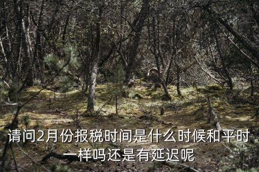上海市二月份交稅期，2010年2月報(bào)稅期限是哪一天上海的