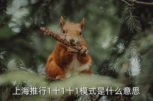 上海市家庭醫生制，在上海如何申請家庭醫生
