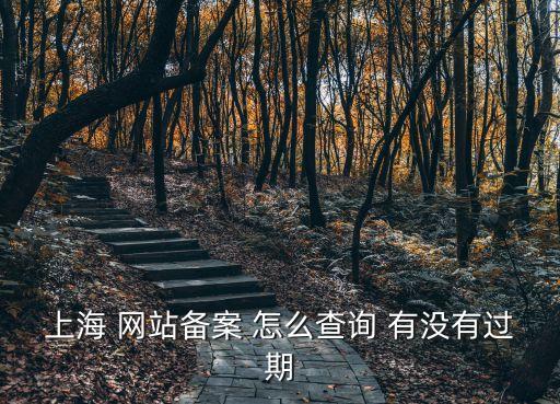 上海市健康促進委員會官網(wǎng)，上海 網(wǎng)站備案 怎么查詢 有沒有過期