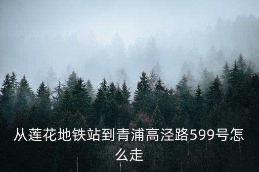 上海市高涇路，從蓮花地鐵站到青浦高涇路599號(hào)怎么走