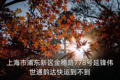 上海市浦東新區金穗路778號延鋒偉世通韻達快運到不到