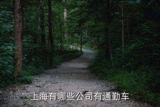 上海市郊通勤車，上海通用北盛汽車通勤車線路 有沒有到道義正良村的