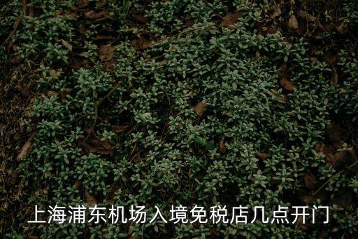上海市浦東機(jī)場(chǎng)免稅店，浦東機(jī)場(chǎng)免稅店